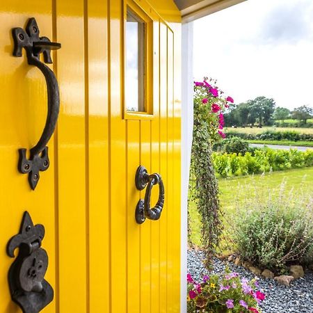 Katie'S Cottage Bellaghy Ngoại thất bức ảnh