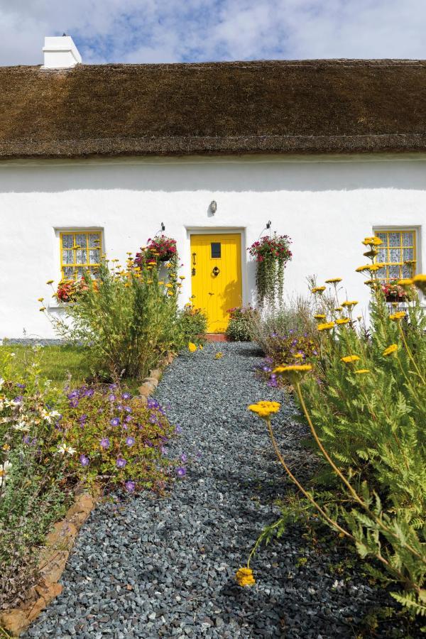 Katie'S Cottage Bellaghy Ngoại thất bức ảnh